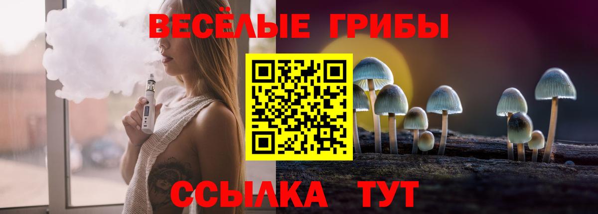 Галлюциногенные грибы мухоморы  Вход с VPN  купить   Кудрово 