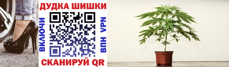Марихуана OG Kush  KRAKEN зеркало  Кудрово 